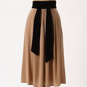Anthropologie Dress Gallery Skirt